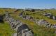 Aubrac1