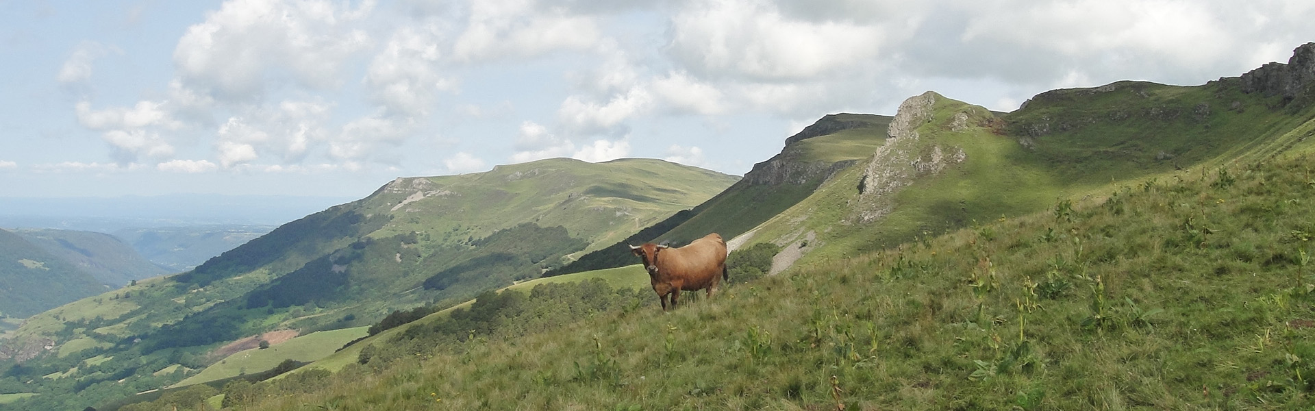 Randonnée Grand Cézallier