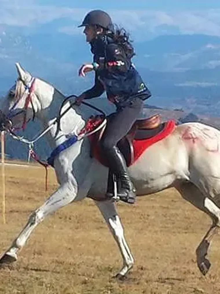 Cavalière au galop lors d’une épreuve d’endurance dans le Cantal