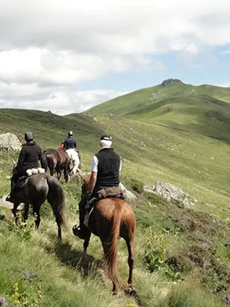 Groupe de cavaliers en randonnée sur les crêtes du massif cantalien