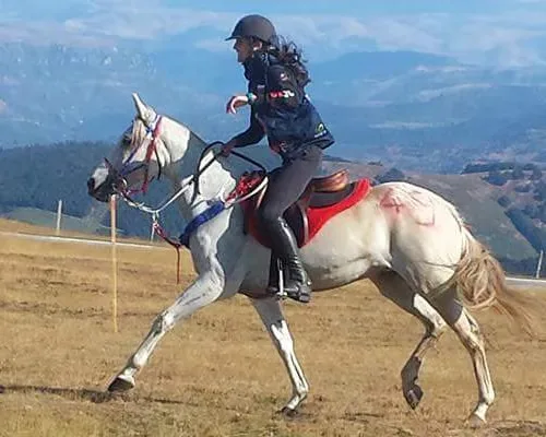 Épreuve d’endurance équestre dans le Cantal
