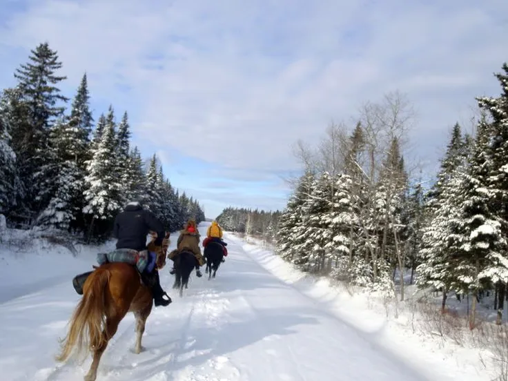 Randonnée équestre en pleine neige dans le Cantal
