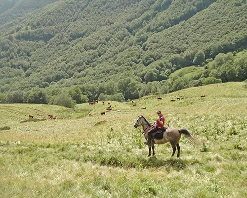 Étape de la randonnée du Grand Cézallier