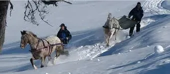 Ski joering tracté par un cheval dans le Cantal